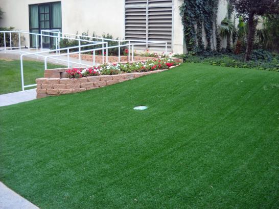 Artificial Grass Photos: Artificial Turf Cost Lower Allen, Pennsylvania Backyard Putting Green, Front Yard Landscaping