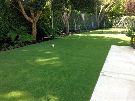 Artificial Grass Photos: Artificial Turf Cost Newtown, Pennsylvania Dog Pound