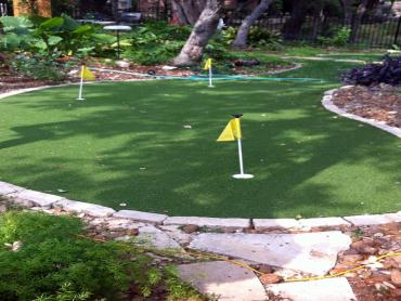 Artificial Grass Photos: Artificial Turf Cost Phoenixville, Pennsylvania City Landscape, Backyard Garden Ideas