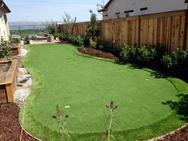 Artificial Grass Photos: Artificial Turf Cost Strausstown, Pennsylvania Paver Patio, Backyard Designs