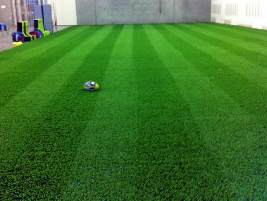 Artificial Grass Photos: Artificial Turf Cost Swoyersville, Pennsylvania Backyard Sports