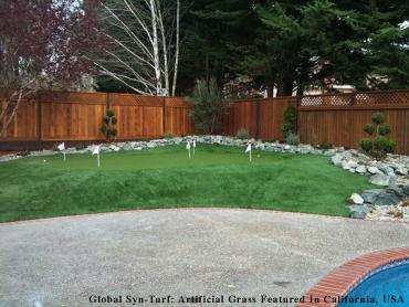 Artificial Turf Drexel Hill, Pennsylvania Indoor Putting Greens, Backyard Landscape Ideas artificial grass