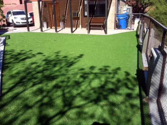 Artificial Grass Photos: Artificial Turf Eddington, Pennsylvania Lawns, Backyard Landscaping Ideas