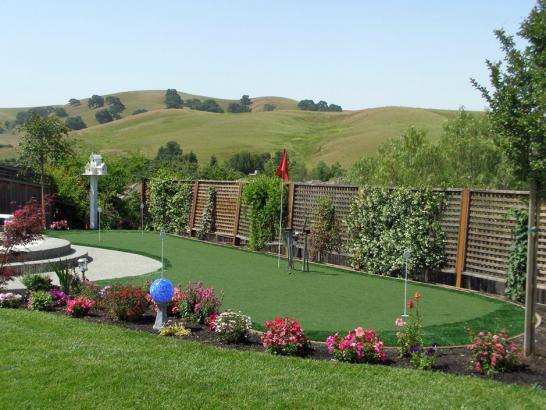 Artificial Grass Photos: Artificial Turf Elizabethville, Pennsylvania Roof Top, Backyards