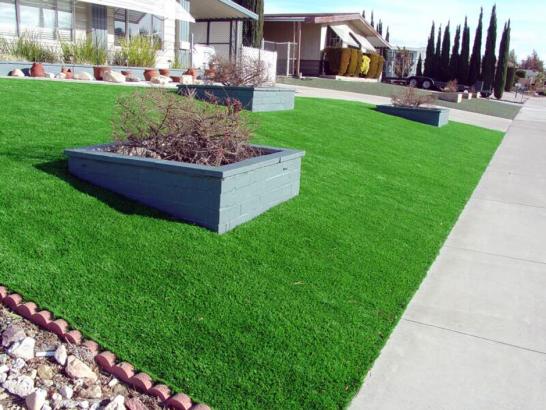 Artificial Grass Photos: Artificial Turf Folcroft, Pennsylvania Lawns, Small Front Yard Landscaping