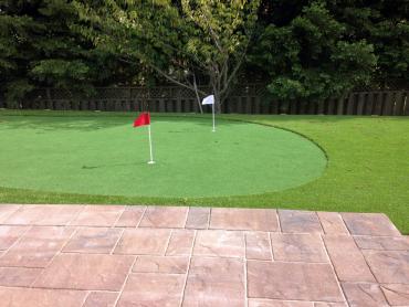 Artificial Grass Photos: Artificial Turf Hallam, Pennsylvania Garden Ideas, Backyard Ideas