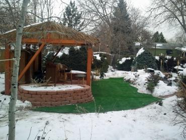 Artificial Grass Photos: Artificial Turf Hokendauqua, Pennsylvania City Landscape, Cold Climate