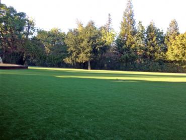 Artificial Grass Photos: Artificial Turf Installation Amity Gardens, Pennsylvania Design Ideas, Parks