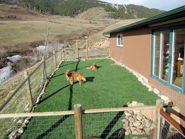 Artificial Grass Photos: Artificial Turf Installation Chester Heights, Pennsylvania Fake Grass For Dogs, Backyards