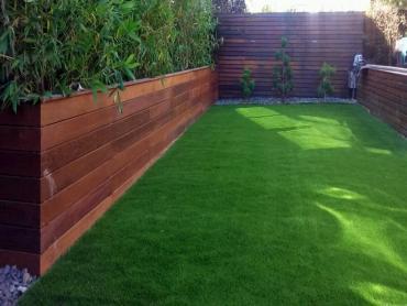 Artificial Grass Photos: Artificial Turf Installation Hyde Park, Pennsylvania Landscaping Business, Backyard Makeover