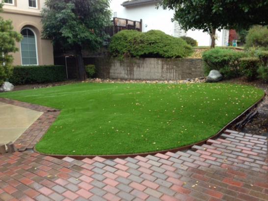 Artificial Grass Photos: Artificial Turf Installation Penbrook, Pennsylvania Landscaping Business, Front Yard Ideas