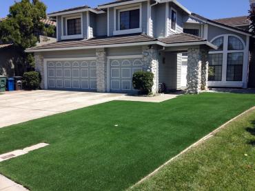 Artificial Grass Photos: Artificial Turf Installation Pennsburg, Pennsylvania Landscape Ideas, Front Yard Ideas