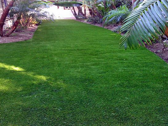 Artificial Grass Photos: Artificial Turf Installation Shickshinny, Pennsylvania Landscape Photos, Backyard Landscaping