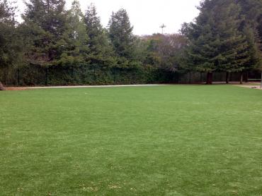 Artificial Grass Photos: Artificial Turf Installation Weissport East, Pennsylvania Landscape Design, Recreational Areas