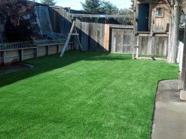 Artificial Grass Photos: Artificial Turf Lebanon South, Pennsylvania Lawn And Garden, Backyard Landscape Ideas