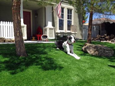 Artificial Grass Photos: Artificial Turf Muhlenberg Park, Pennsylvania Artificial Grass For Dogs, Grass for Dogs