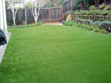 Artificial Grass Photos: Artificial Turf Sinking Spring, Pennsylvania Lawns, Backyard Makeover