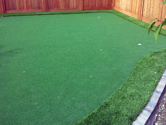 Artificial Grass Photos: Artificial Turf Slabtown, Pennsylvania Putting Green Grass, Backyards