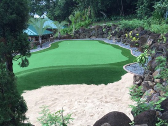 Artificial Grass Photos: Artificial Turf Toughkenamon, Pennsylvania How To Build A Putting Green