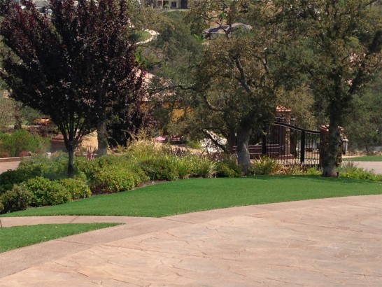 Artificial Grass Photos: Artificial Turf Trevose, Pennsylvania Lawns, Commercial Landscape