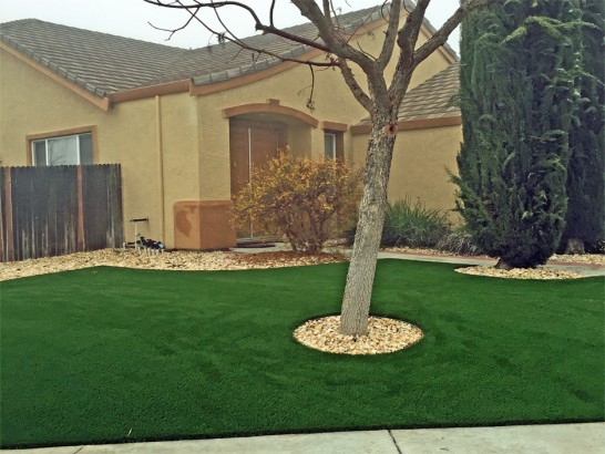 Artificial Grass Photos: Artificial Turf Trooper, Pennsylvania Landscape Design, Front Yard Ideas