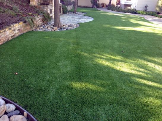 Artificial Grass Photos: Artificial Turf York Haven, Pennsylvania Garden Ideas, Backyard Landscaping Ideas