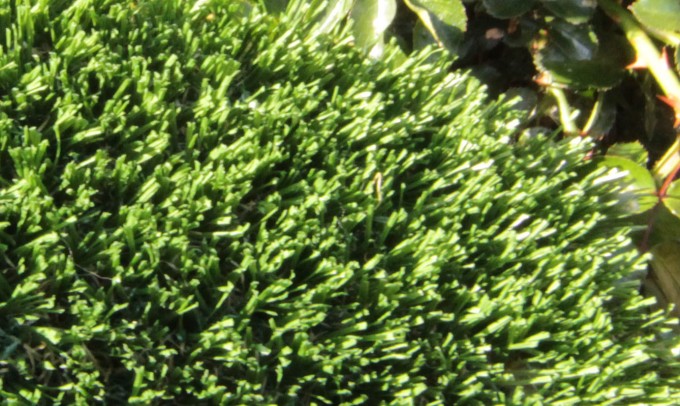 Hollow Blade-73 syntheticgrass Artificial Grass Philadelphia Pennsylvania