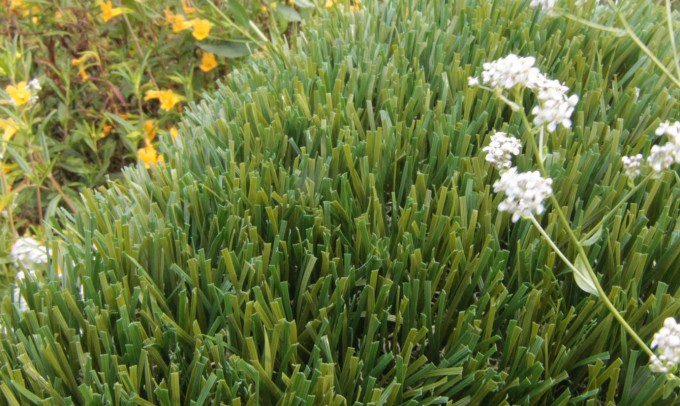 Double S-61 syntheticgrass Artificial Grass Philadelphia Pennsylvania