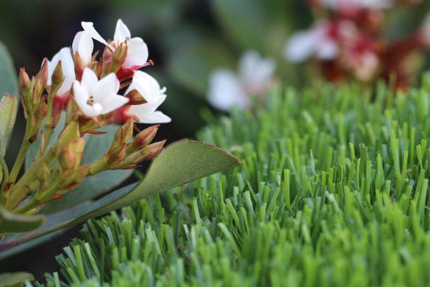 Artificial Grass For Rooftops