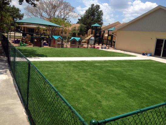 Artificial Grass Photos: Best Artificial Grass Abbottstown, Pennsylvania Landscape Photos, Commercial Landscape