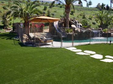 Artificial Grass Photos: Best Artificial Grass Collegeville, Pennsylvania Roof Top, Commercial Landscape