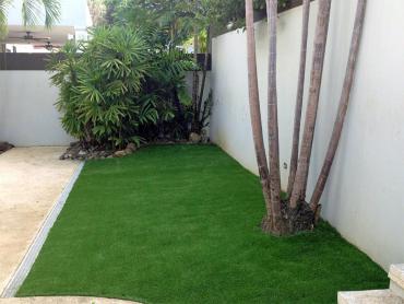 Artificial Grass Photos: Best Artificial Grass Cumbola, Pennsylvania Backyard Playground, Backyard Garden Ideas