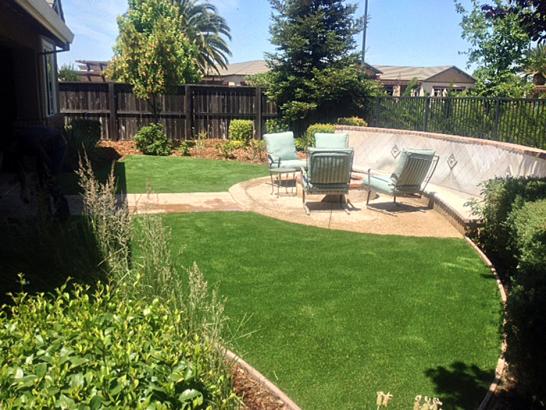 Artificial Grass Photos: Best Artificial Grass Goldsboro, Pennsylvania Design Ideas, Backyard Designs