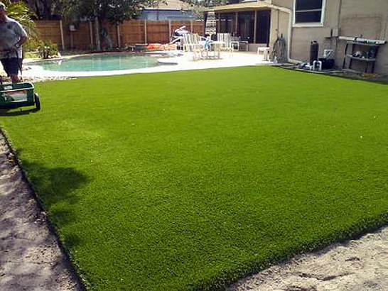 Artificial Grass Photos: Best Artificial Grass Hatboro, Pennsylvania Landscape Ideas, Natural Swimming Pools