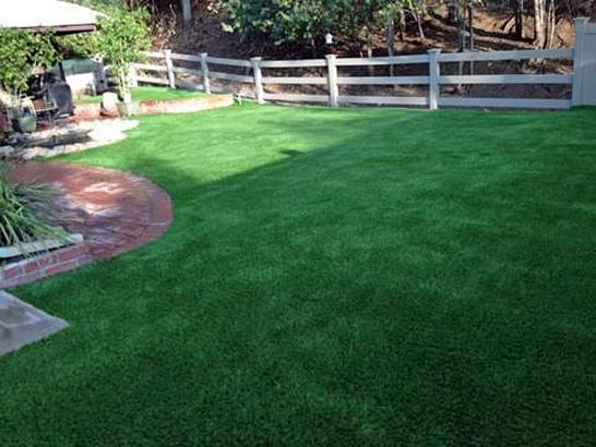Artificial Grass Photos: Best Artificial Grass Klingerstown, Pennsylvania Lawn And Garden, Backyard Landscaping Ideas