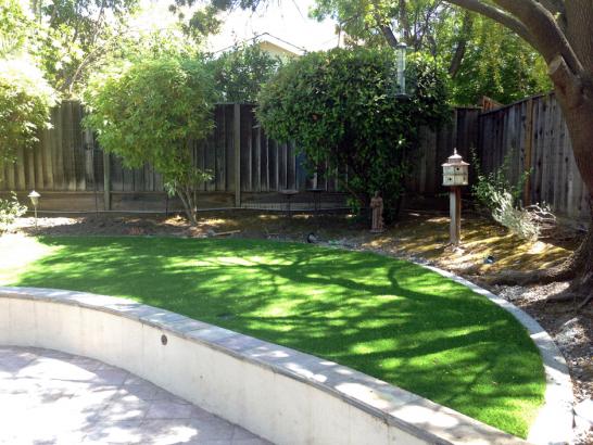 Artificial Grass Photos: Best Artificial Grass Mount Wolf, Pennsylvania Backyard Deck Ideas, Commercial Landscape