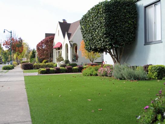 Artificial Grass Photos: Best Artificial Grass Pennville, Pennsylvania City Landscape, Front Yard Landscaping Ideas