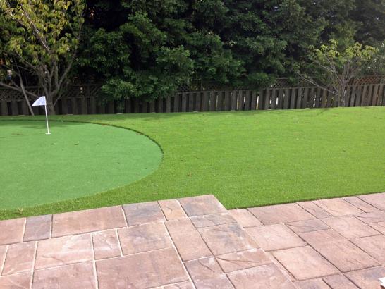 Artificial Grass Photos: Best Artificial Grass Pocono Mountain Lake Estates, Pennsylvania Putting Green Flags, Backyard Design