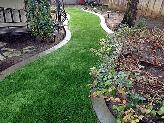 Artificial Grass Photos: Best Artificial Grass Rose Valley, Pennsylvania Landscape Rock, Backyard