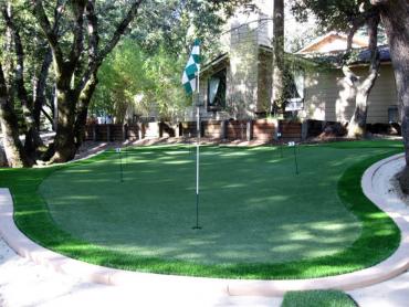 Artificial Grass Photos: Best Artificial Grass Roseto, Pennsylvania Putting Green, Backyard Garden Ideas