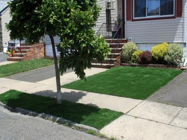 Artificial Grass Photos: Fake Grass Carpet Bird in Hand, Pennsylvania Gardeners, Small Front Yard Landscaping