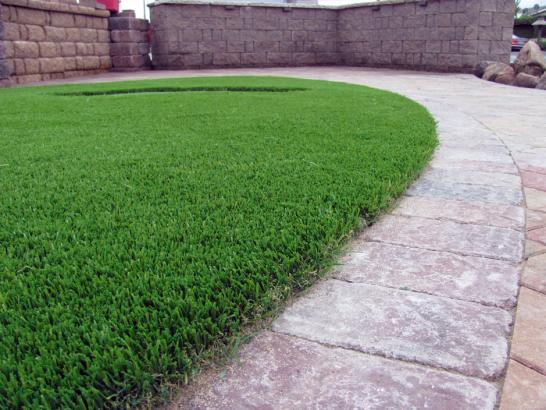 Artificial Grass Photos: Fake Grass Carpet Branch Dale, Pennsylvania City Landscape, Front Yard Landscaping