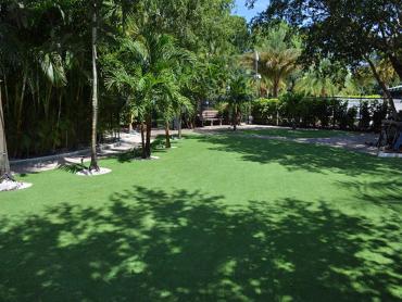 Artificial Grass Photos: Fake Grass Carpet Caln, Pennsylvania Lawns, Commercial Landscape