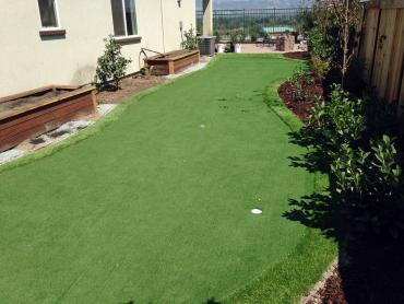 Artificial Grass Photos: Fake Grass Carpet Coplay, Pennsylvania How To Build A Putting Green, Backyard Makeover