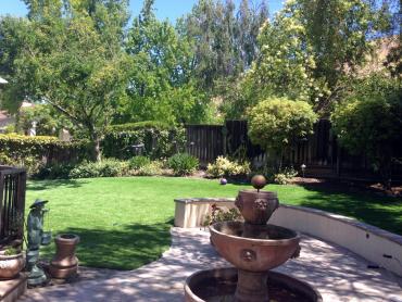 Artificial Grass Photos: Fake Grass Carpet Eagleville, Pennsylvania Home And Garden, Backyard Ideas