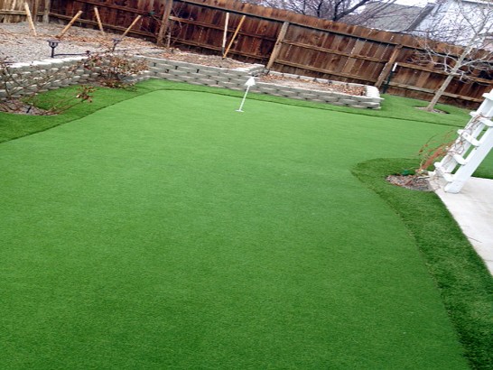 Artificial Grass Photos: Fake Grass Carpet Eddystone, Pennsylvania Landscape Photos, Backyard Landscape Ideas