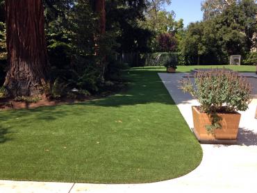 Artificial Grass Photos: Fake Grass Carpet Gibraltar, Pennsylvania Dog Hospital, Front Yard