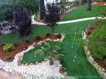 Artificial Grass Photos: Fake Grass Carpet Philadelphia, Pennsylvania Putting Greens, Beautiful Backyards