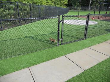 Artificial Grass Photos: Fake Grass Carpet Stony Creek Mills, Pennsylvania Backyard Playground, Parks