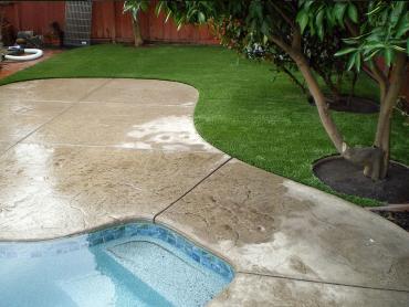 Artificial Grass Photos: Fake Grass Carpet Trappe, Pennsylvania Lawn And Landscape, Backyard Makeover